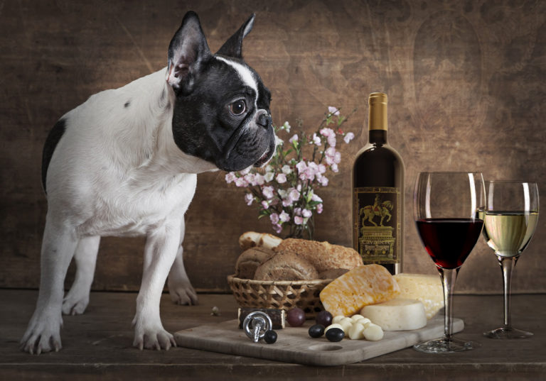 Pet and Wine!