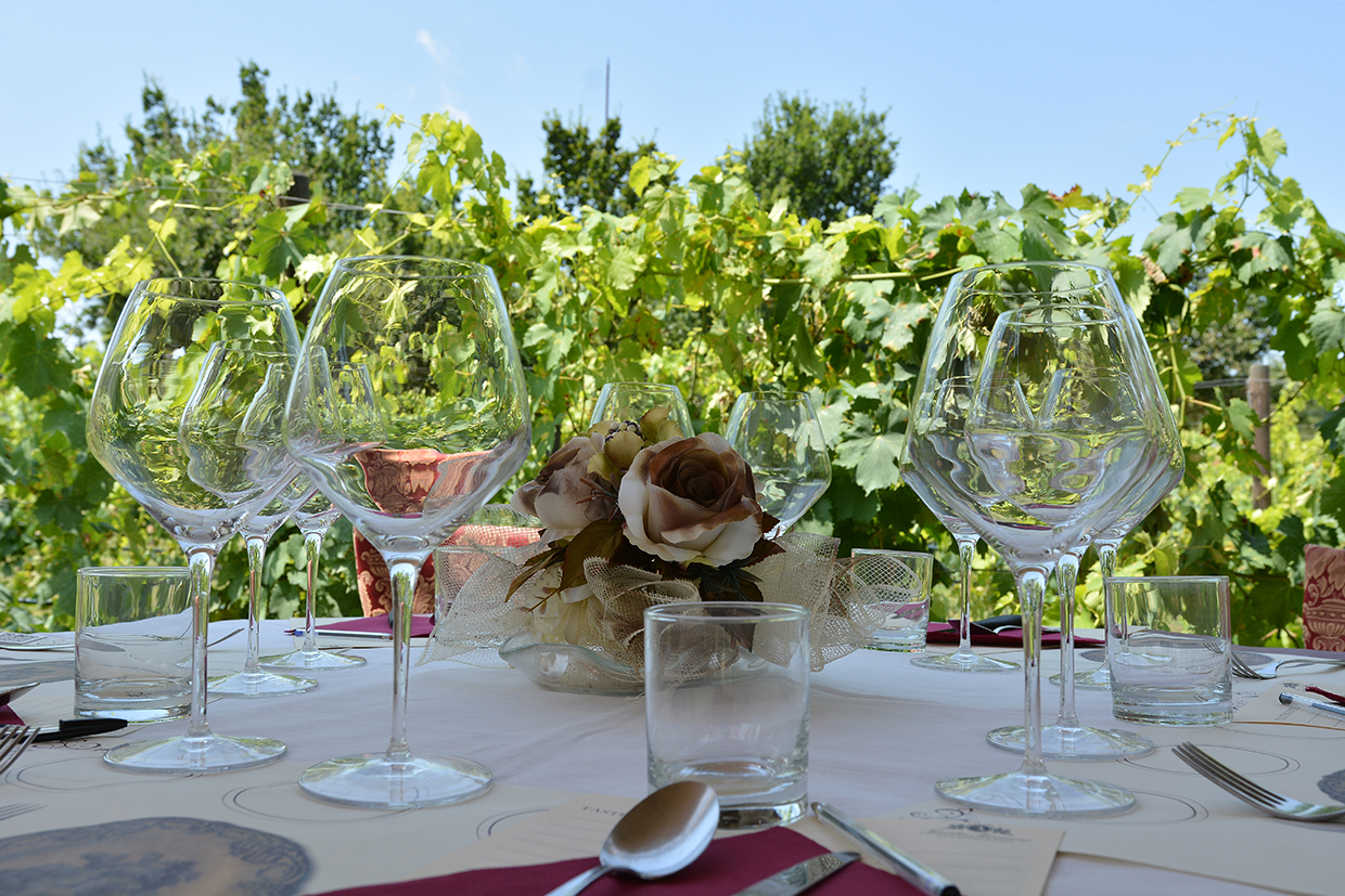 Dine in the Vineyard among the Torciano vine rows