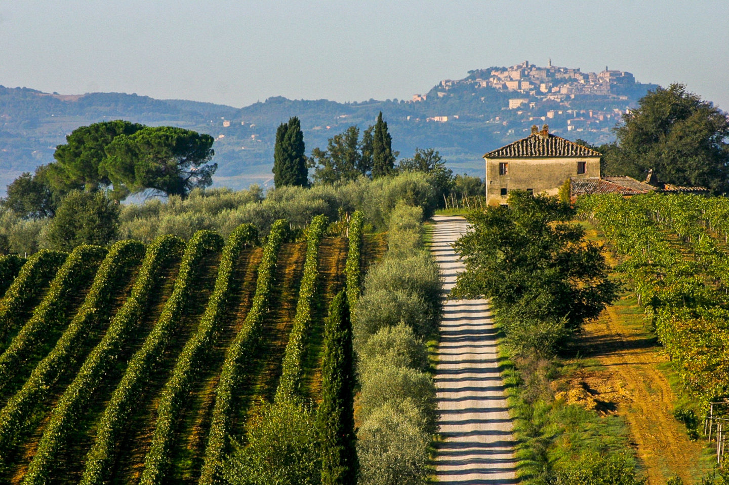 Nobile di Montepulciano Wine, ancient Tuscan aristocracy
