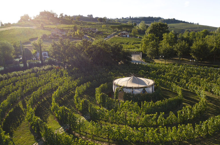 Vivi la vendemmia tutto l’anno nei vigneti di Tenuta Torciano