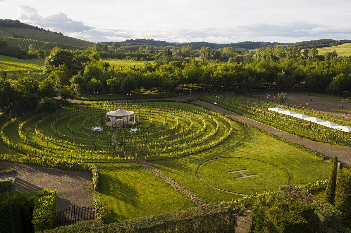 Fruits of the field: Vernaccia and Extra virgin olive Oil