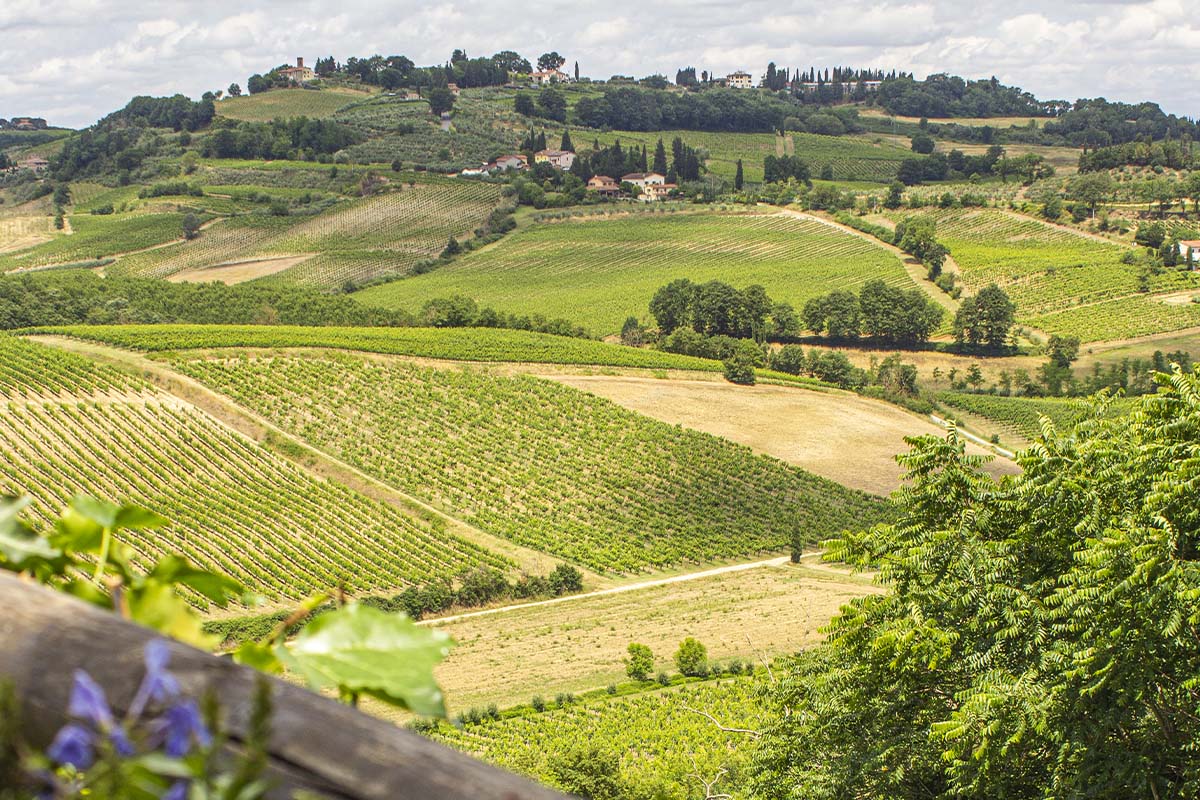 Vino &#038; Charm a San Gimignano