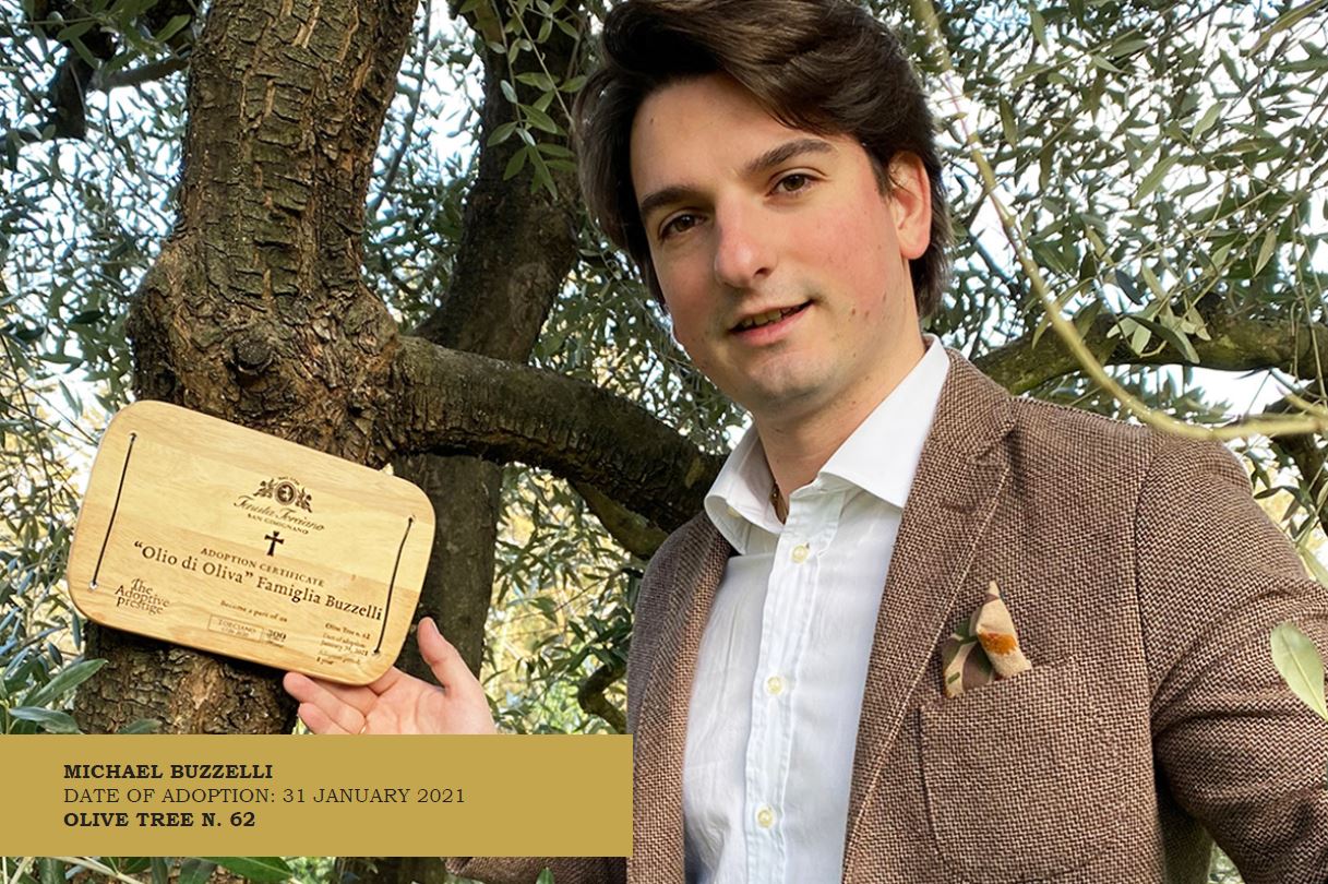 Adopt an Olive Tree &#8211; A gift for those you love and for Nature
